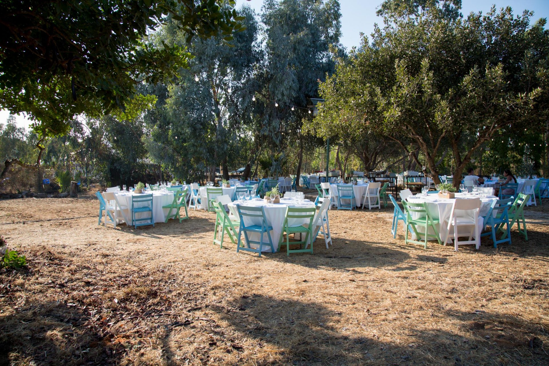 A wedding in the family yard